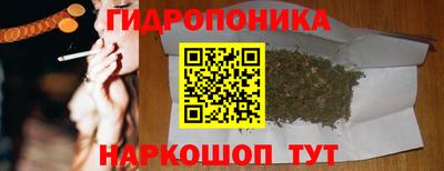 ECSTASY Кандалакша