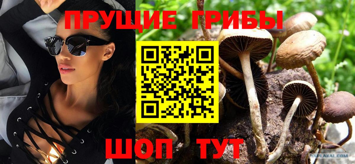 Псилоцибиновые грибы Magic Shrooms Дубна