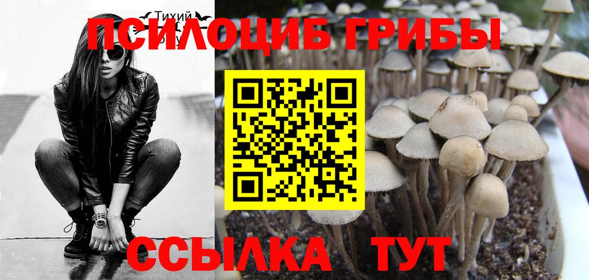 Дубна  Галлюциногенные грибы GOLDEN TEACHER  Вход с VPN 